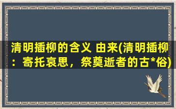 清明插柳的含义 由来(清明插柳：寄托哀思，祭奠逝者的古*俗)